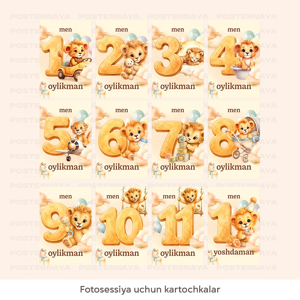 «Shercha» fotosessiya kartochkalari 